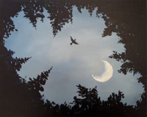 Twilight flight (m)